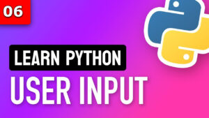 user input in python